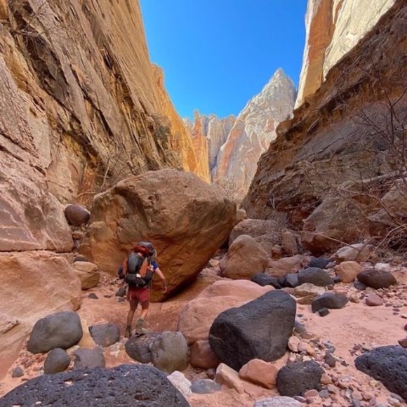 Meet your Posher, Maeve - Picture 1 of 1